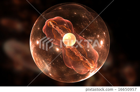 Cell, bacteria or virus 16650957