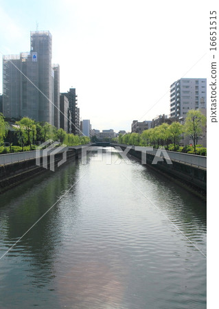 Scenery of Sendai Horikawa seen from Third Street (Suehiro Bridge) 16651515