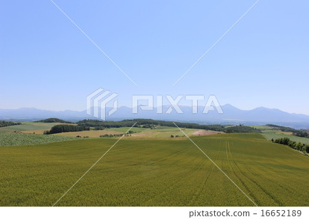 一座小山 16652189