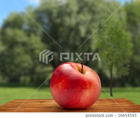 Red apple on sky and tree background Red apple on sky and tree background 16654593