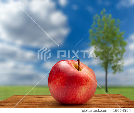 Red apple on sky and tree background Red apple on sky and tree background 16654594