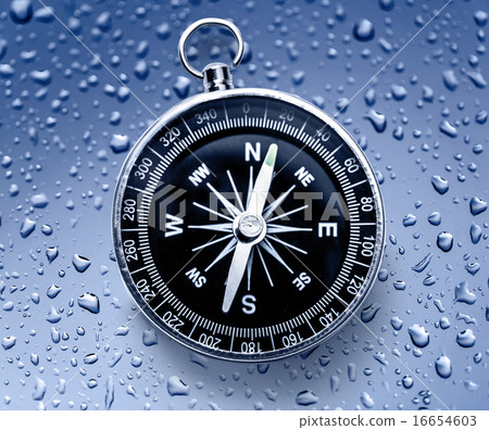 Black compass Black compass 16654603