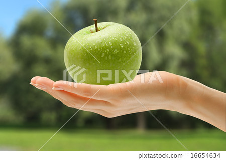 Female hand with green apple 16654634