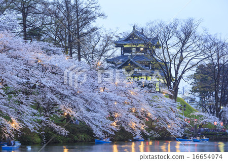 高田城和櫻花點亮了新潟縣上越市 高田城和櫻花點亮了新潟縣上越市 16654974