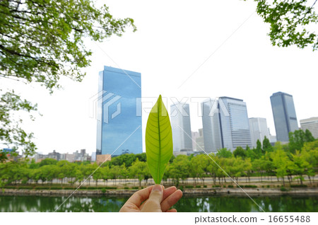 City building fresh green City building fresh green 16655488