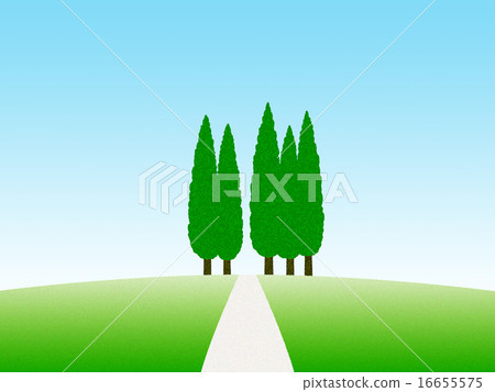 賽普拉斯在山上 16655575