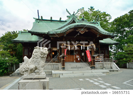 金澤步行:Kuko shi植物神社 金澤步行:Kuko shi植物神社 16655731