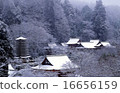 津山神社 16656159