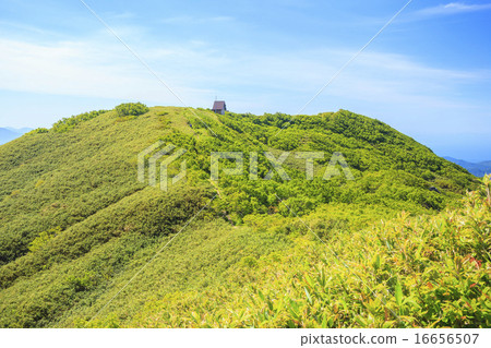 Shirakami-dake in summer Aomori-ken Fukaura-machi Shirakami-dake in summer Aomori-ken Fukaura-machi 16656507