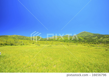 從無毛青森縣青森市看夏天的八甲田山 從無毛青森縣青森市看夏天的八甲田山 16656796