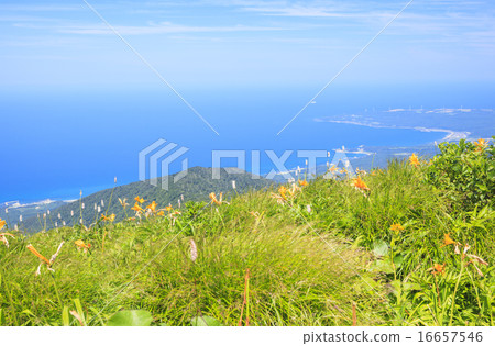 Shirakami-dake Nikko Kisoge和Nihonkai Aomori-ken Fukaura-cho 16657546