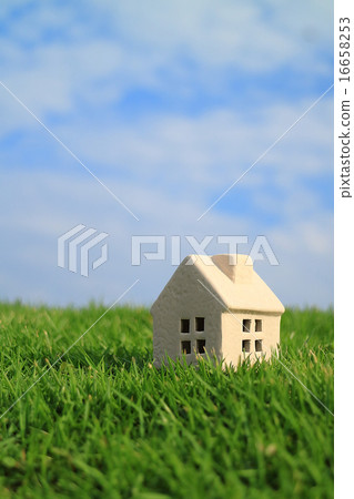 My Home Life My Home Life 16658253