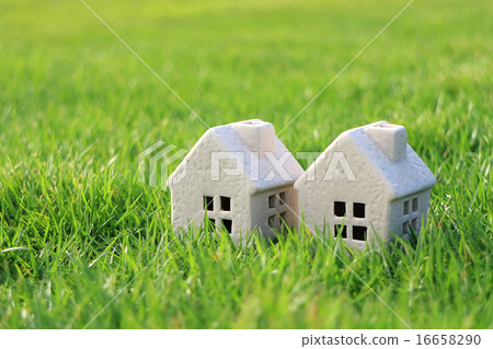 My Home Life 16658290