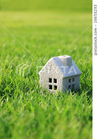 My Home Life My Home Life 16658293