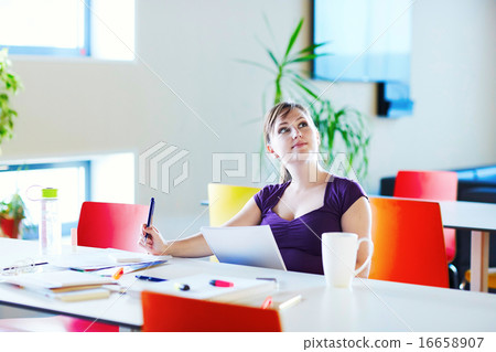 Beautiful young student studying 16658907