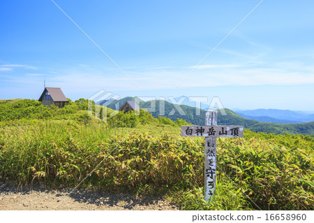 Summer Shirakami mountain top Aomori prefecture Fukaura cho Summer Shirakami mountain top Aomori prefecture Fukaura cho 16658960