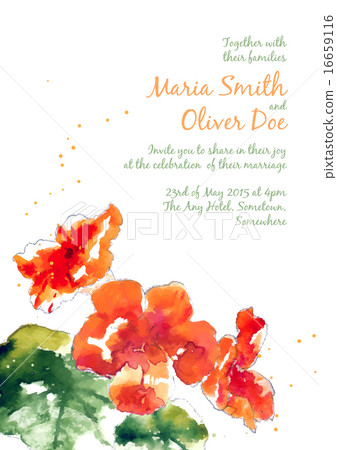 Vector background with watercolor nasturtium 16659116