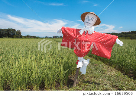Numanuma稻田稻草人 16659506