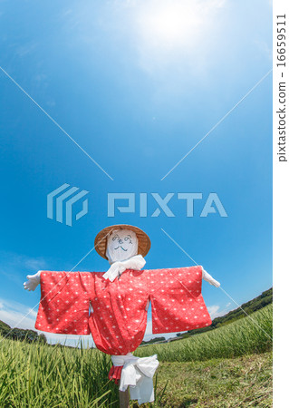 Numanuma稻田稻草人 16659511