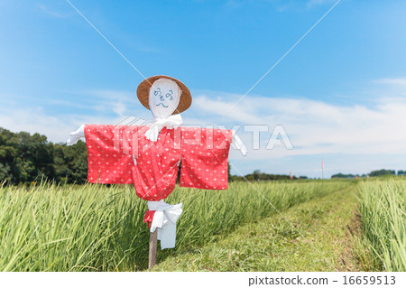 Numanuma稻田稻草人 Numanuma稻田稻草人 16659513