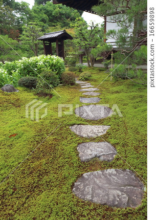 京都比基納里 16659898