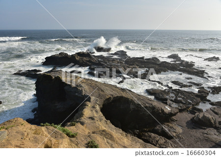 Pacific view from the horse's back gate Pacific view from the horse's back gate 16660304