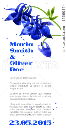 Vector background with  aquilegia nasturtium 16660364