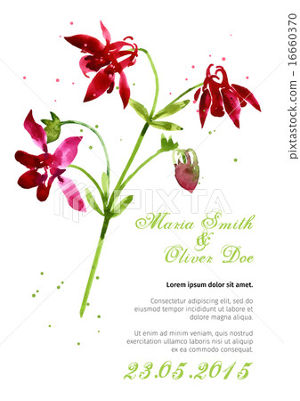 Vector background with aquilegia nasturtium Vector background with aquilegia nasturtium 16660370