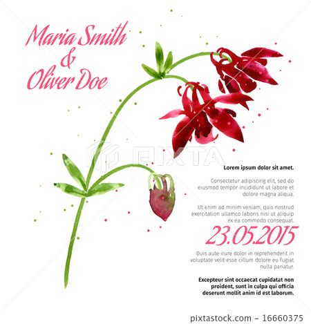 Vector background with  aquilegia nasturtium 16660375
