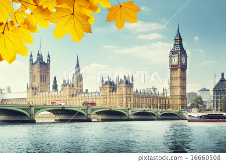 autumn leaves and Big Ben, London 16660508