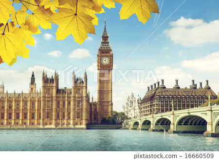 autumn leaves and Big Ben, London autumn leaves and Big Ben, London 16660509