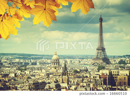 autumn leaves in Paris and Eiffel tower autumn leaves in Paris and Eiffel tower 16660510
