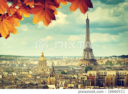 autumn leaves in Paris and Eiffel tower 16660511