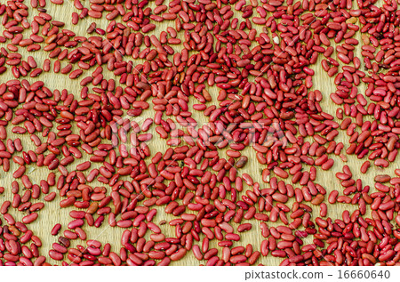 Dried beans 16660640