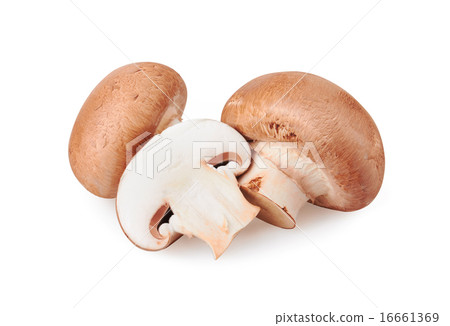 Champignon Mushroom 16661369