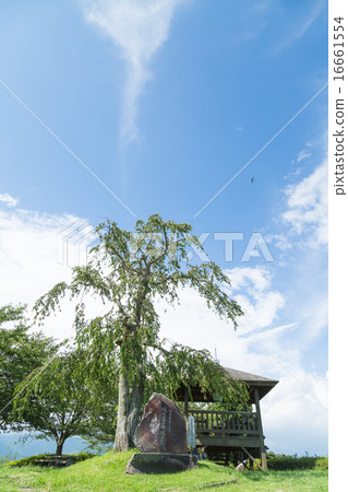 Kajiwara山公園 16661554