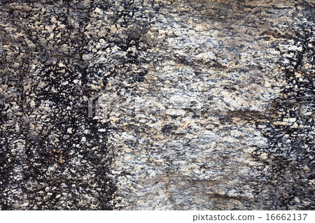 Stone Texture Stone Texture 16662137