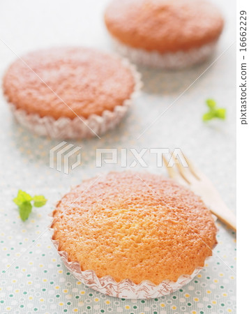 馬德琳 馬德琳 16662229