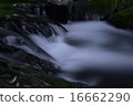 谷 16662290