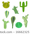 vector illustration set cactus in flat style 16662325