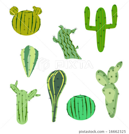 vector illustration set cactus in flat style vector illustration set cactus in flat style 16662325