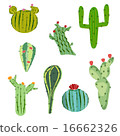 vector illustration set cactus with flowers 16662326