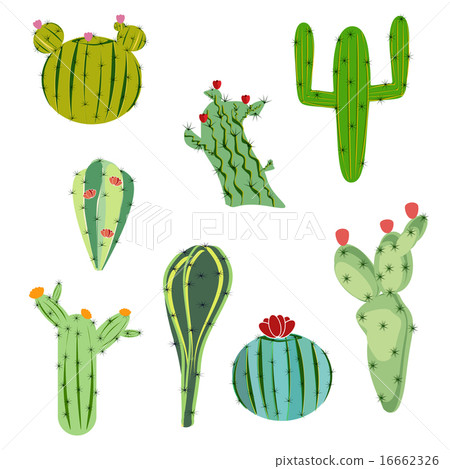 vector illustration set cactus with flowers vector illustration set cactus with flowers 16662326