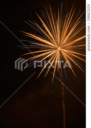 煙花 16662824
