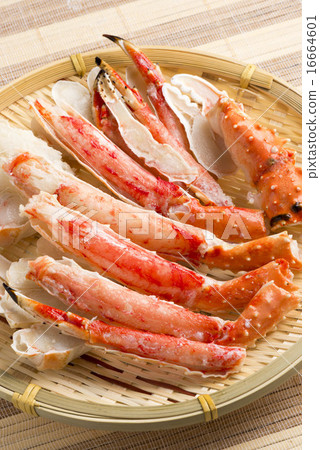 King crab 16664601
