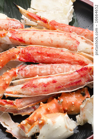 King crab King crab 16664652