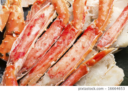 King crab King crab 16664653