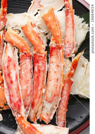 King crab King crab 16664654