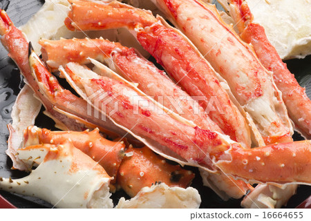 King crab King crab 16664655