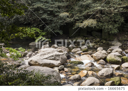 Clear current of the Sarugajo Valley flowing between stones Clear current of the Sarugajo Valley flowing between stones 16665675